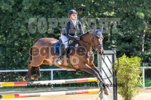 RFV Dinslaken-Hiesfeld (Herbstturnier)