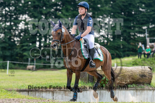 Goldene Schärpe 2021 - Ponys