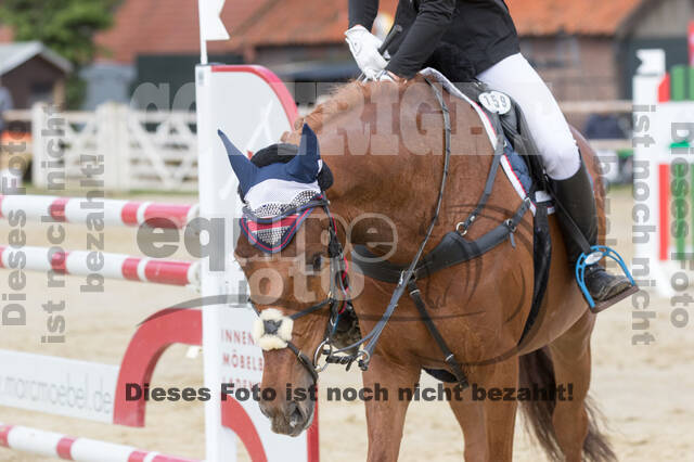 Sterne über Münster 2019 - CCI***S