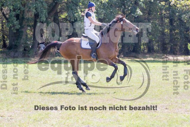 Vielseitigkeitsturnier RSV St. Hubertus Wesel Obrighoven