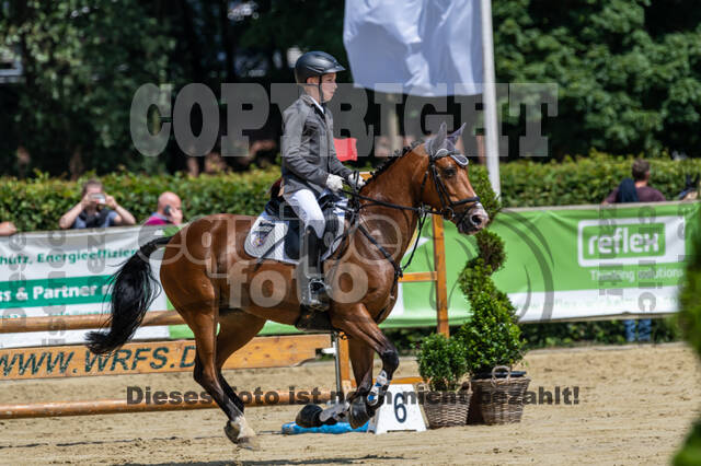 Goldene Schärpe 2021 - Ponys