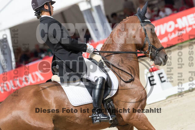 FEI European Championship Eventing 2017