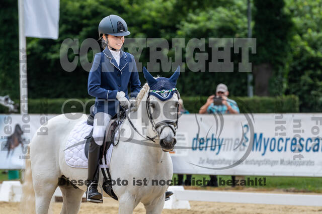 Goldene Schärpe 2021 - Ponys