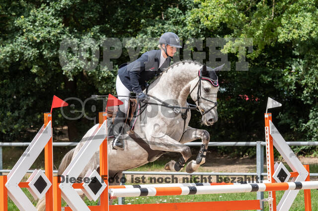 Late-Entry-Vielseitigkeit Langenfeld (06.+07.07.2020)