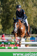 Deutsche Meisterschaft Vielseitigkeit (Luhmühlen)
