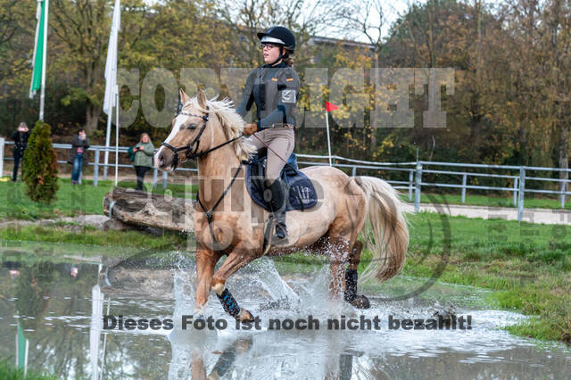 IGV Lehrgang der Sieger der Cups mit Frank Ostholt