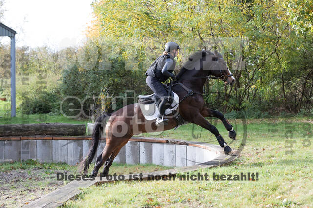 IGV Lehrgang der Sieger der Cups mit Frank Ostholt