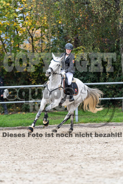 Goldene Schärpe 2020 - Pferde