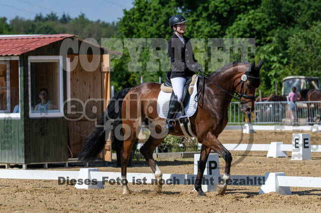 Westerstede Horse Trials 2021