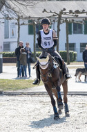Eventing Langenfeld 2018