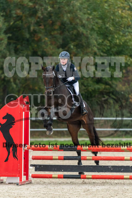 Reiter Schleswig-Holstein