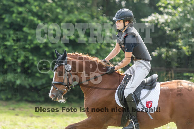 Goldene Schärpe 2021 - Ponys