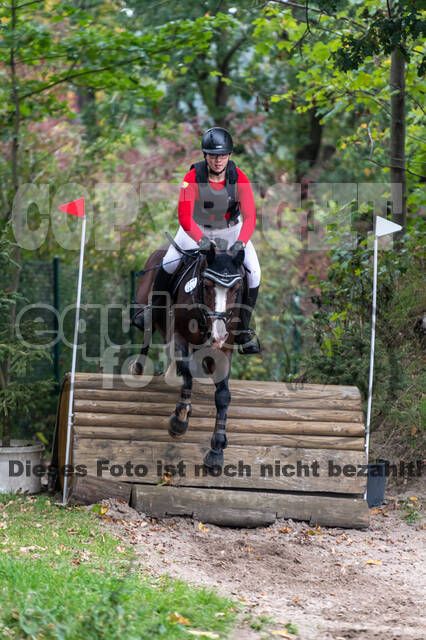 Goldene Schärpe 2020 - Pferde