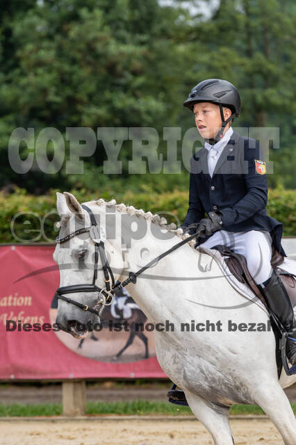 Goldene Schärpe 2021 - Ponys