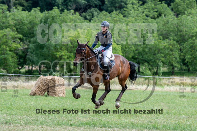 Bonn-Rodderberg Late-Entry-Vielseitigkeit (30.06.2020)