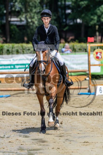 Goldene Schärpe 2021 - Ponys