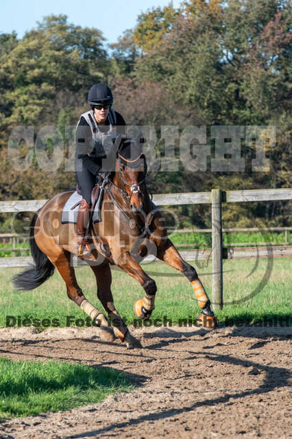 Vielseitigkeitslehrgang mit Jürg Kurbel (9.+10.11.2019)