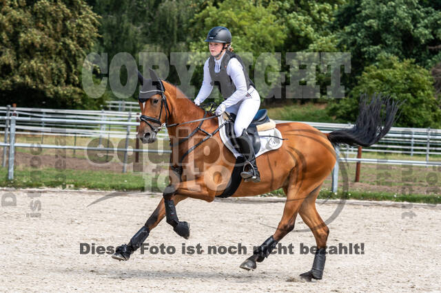 Late-Entry-Vielseitigkeit Langenfeld (06.+07.07.2020)