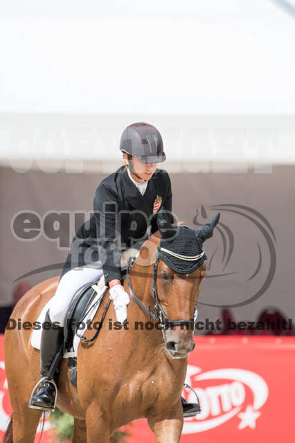 FEI European Championship Eventing 2017