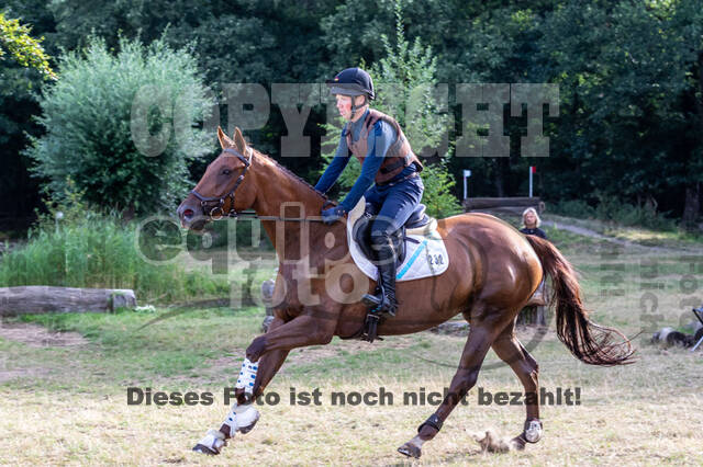 Late-Entry Vielseitigkeit Hamminkeln/Wesel (01.+02.08.2020)