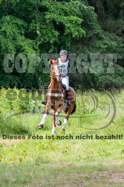 Westerstede Horse Trials 2021