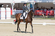 FEI European Championship Eventing 2017