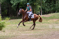 Late-Entry Vielseitigkeit Hamminkeln/Wesel (01.+02.08.2020)