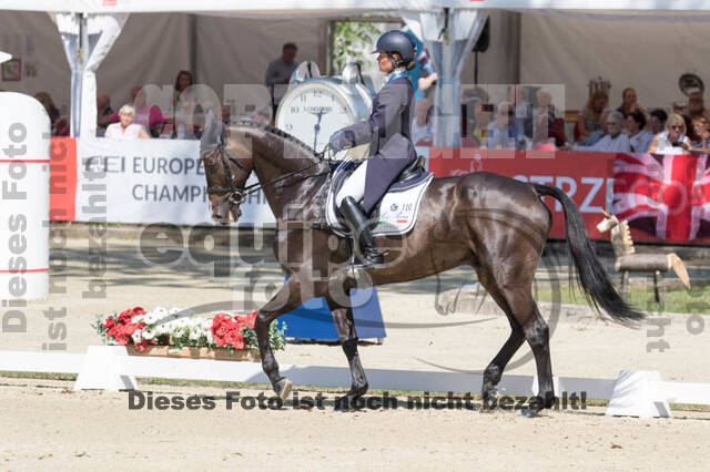FEI European Championship