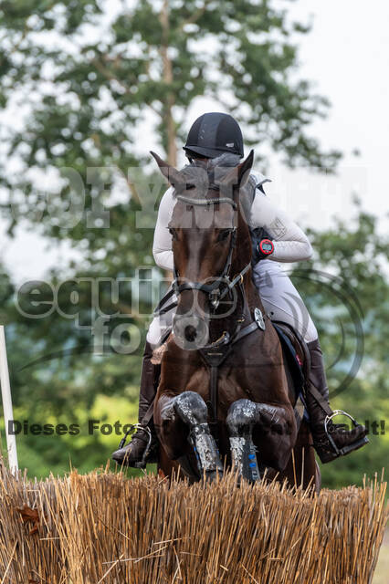 De Peelbergen (August 2020)