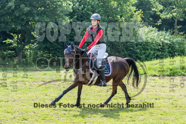 Goldene Schärpe 2021 - Ponys