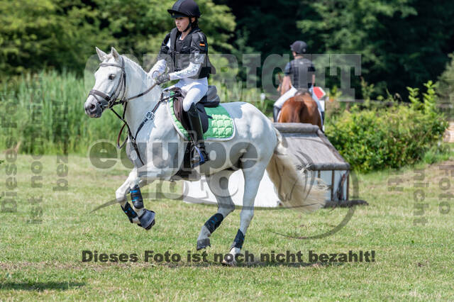 Goldene Schärpe 2021 - Ponys