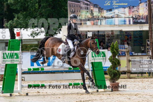 Goldene Schärpe 2021 - Ponys
