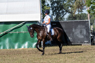 Kronenberg - De Peelbergen (August 2020)