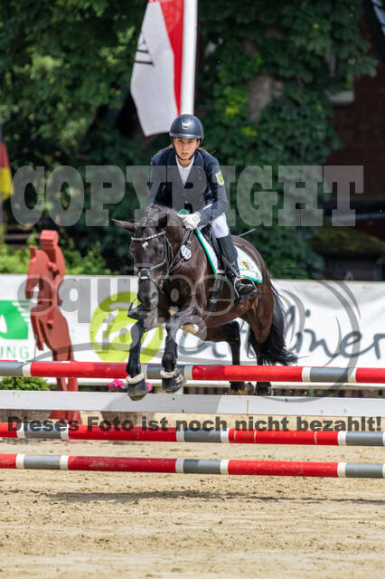 Goldene Schärpe 2021 - Ponys