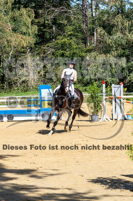 RFV Dinslaken-Hiesfeld (Herbstturnier)