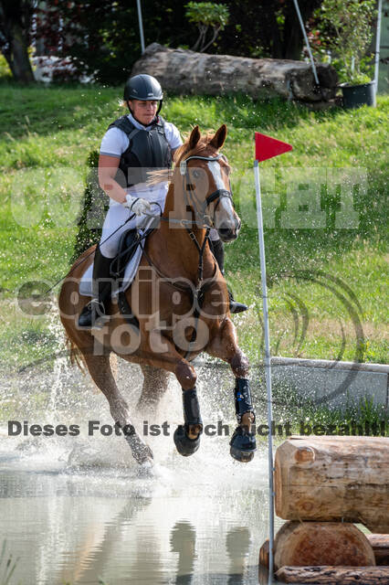 Late-Entry-Vielseitigkeit Langenfeld (06.+07.07.2020)