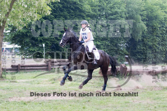 Vielseitigkeitsturnier ZRFV von Lützow Hamminkeln