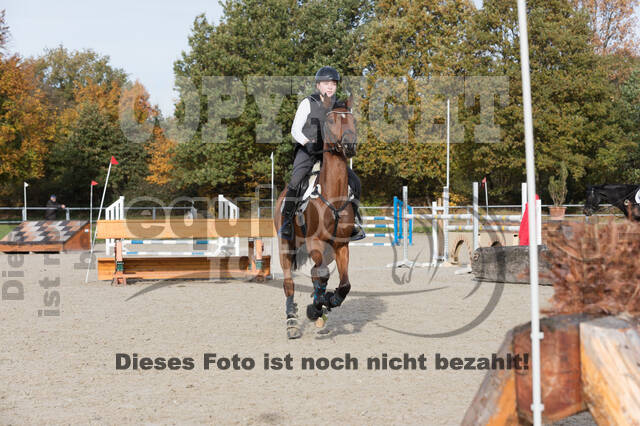 IGV Lehrgang der Sieger der Cups mit Frank Ostholt