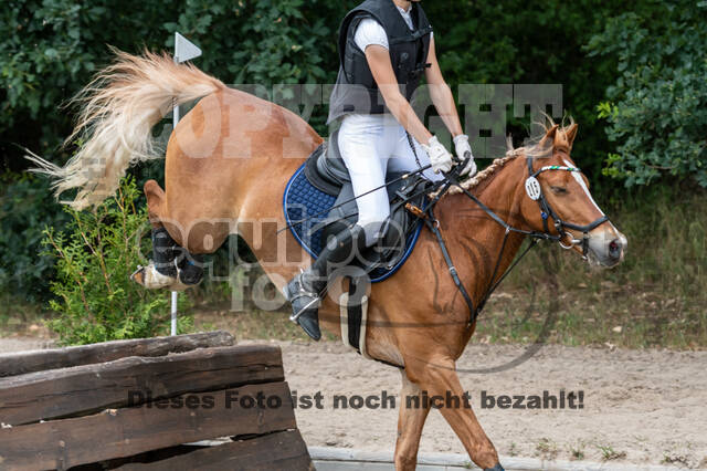 Late-Entry-Vielseitigkeit Langenfeld (11.+13./14.06.2020)