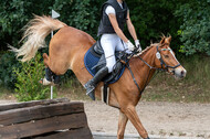 Late-Entry-Vielseitigkeit Langenfeld (11.+13./14.06.2020)
