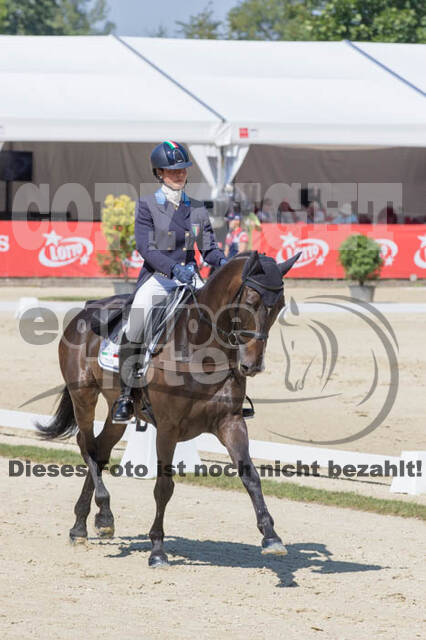 FEI European Championship