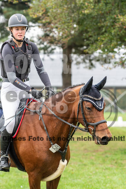 Goldene Schärpe 2020 - Pferde