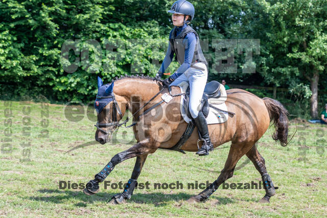 Goldene Schärpe 2021 - Ponys