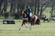 Vielseitigkeitsturnier RV Seydlitz Kamp (03.04.2022)