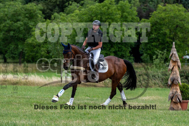 Bonn-Rodderberg Late-Entry-Vielseitigkeit (30.06.2020)
