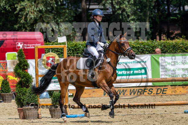 Goldene Schärpe 2021 - Ponys