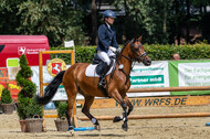 Goldene Schärpe 2021 - Ponys