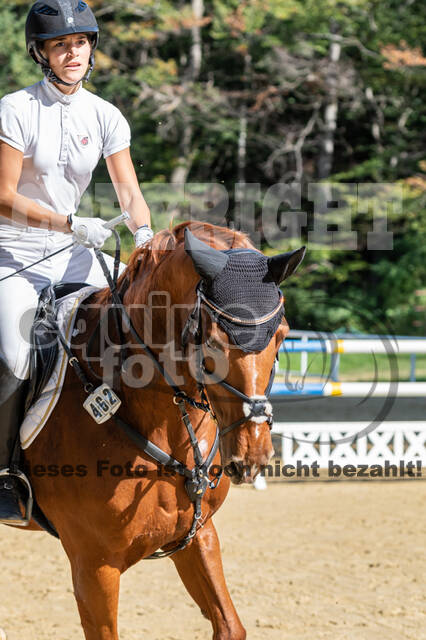 RFV Dinslaken-Hiesfeld (Herbstturnier)