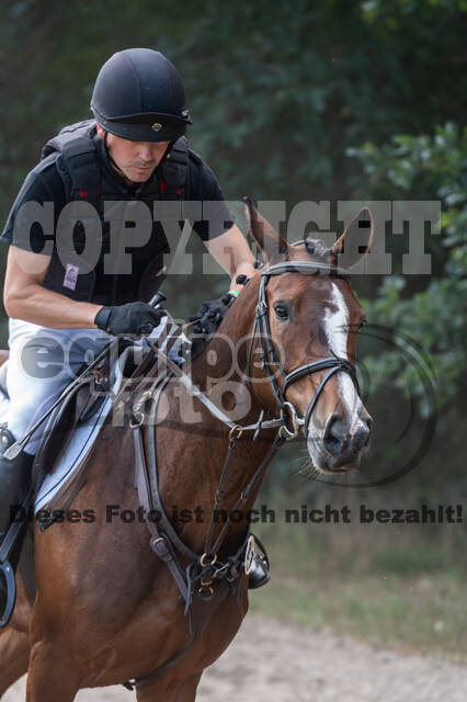Late-Entry-Vielseitigkeit Langenfeld (11.+13./14.06.2020)