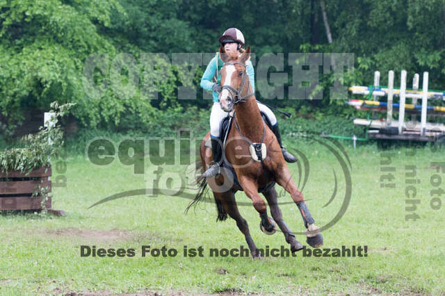 Vielseitigkeitsturnier ZRFV von Lützow Hamminkeln